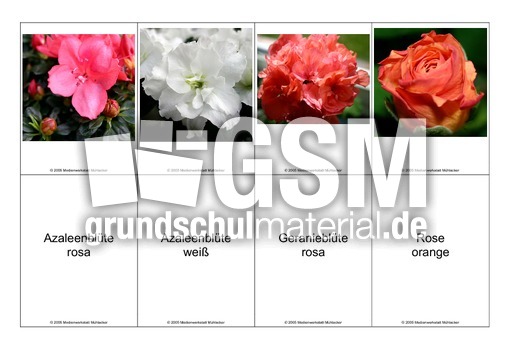 Blumen-Memo-Aufdeckspiel-14.pdf